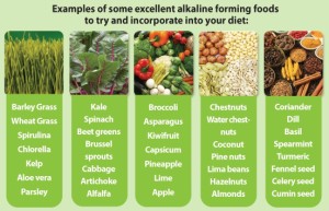 Top Alkalizing Foods